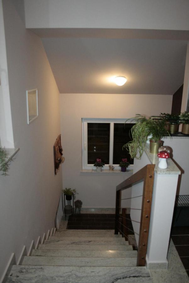 Kaj-Lux Apartment Tuheljske Toplice Exterior photo